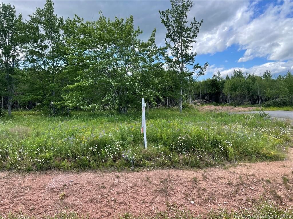 Property Photo:  Lot 21-5 Fawcett Avenue  NB E4Z 4H3 