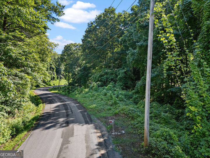 Property Photo: 0 Shinbone Ridge Road GA 30728