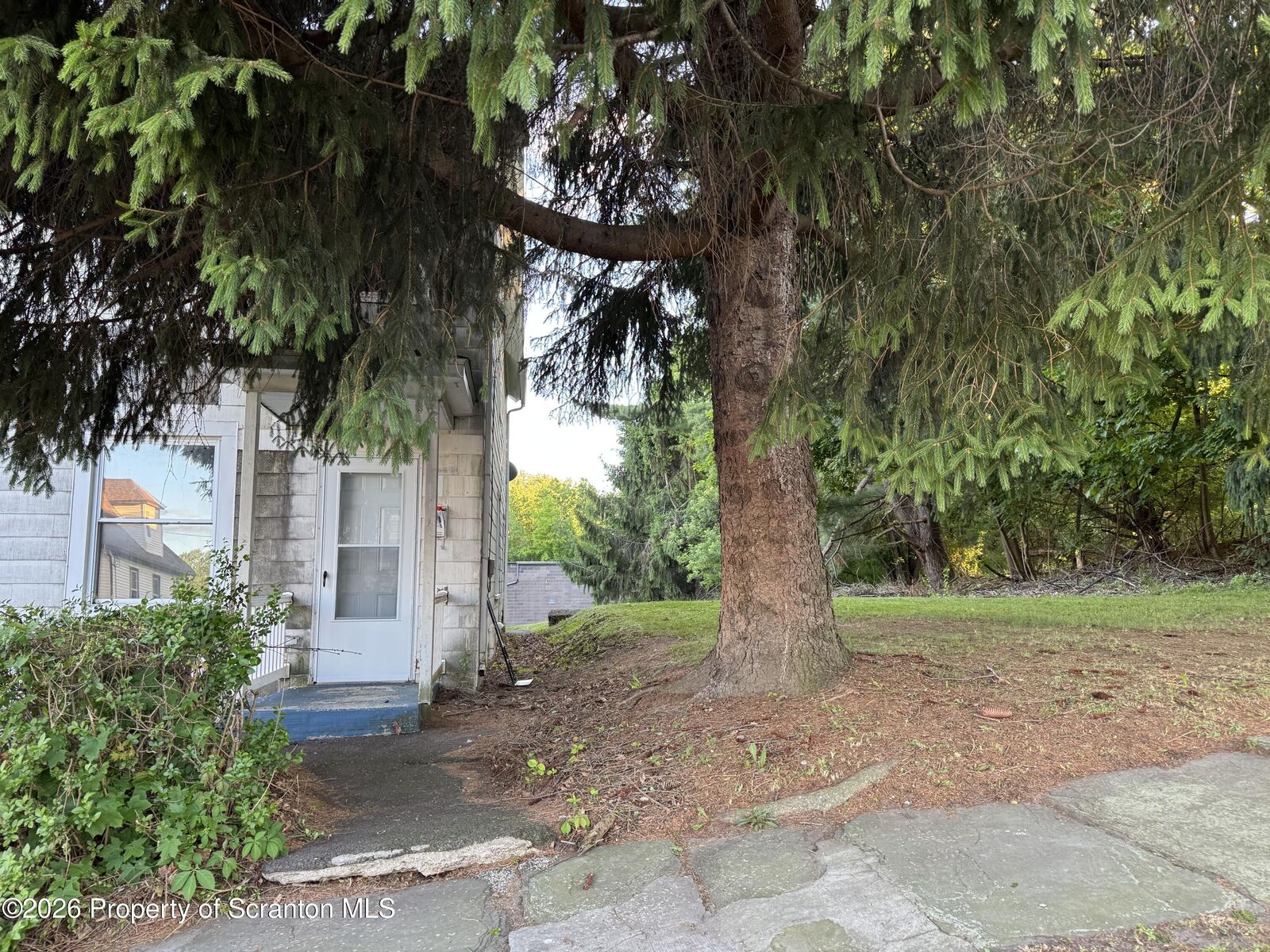 Property Photo:  233 Reese Street  PA 18505 