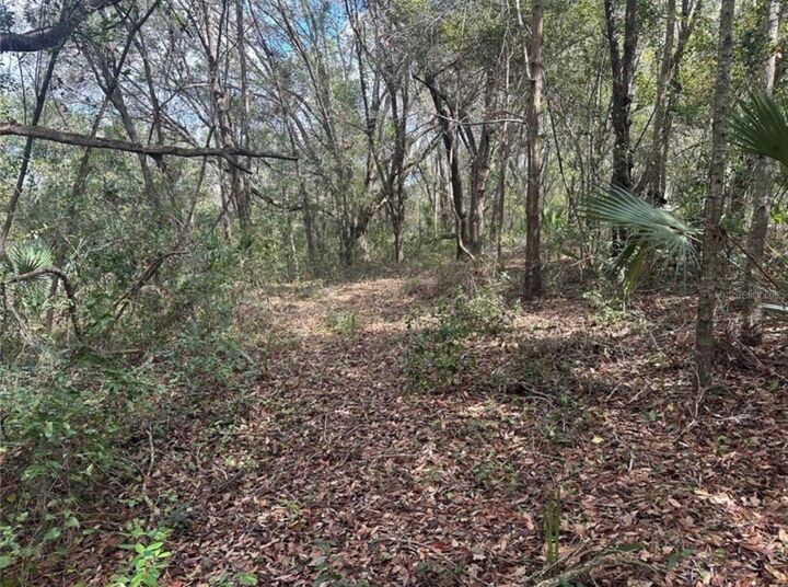 Property Photo:  0 South Lake Hiawatha Drive  FL 32159 