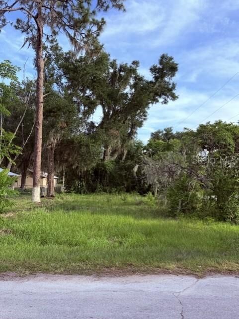 Property Photo: Cr 604 FL 33513