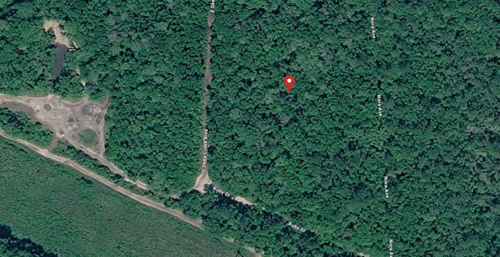 Property Photo: E Deep Creek FL 32145