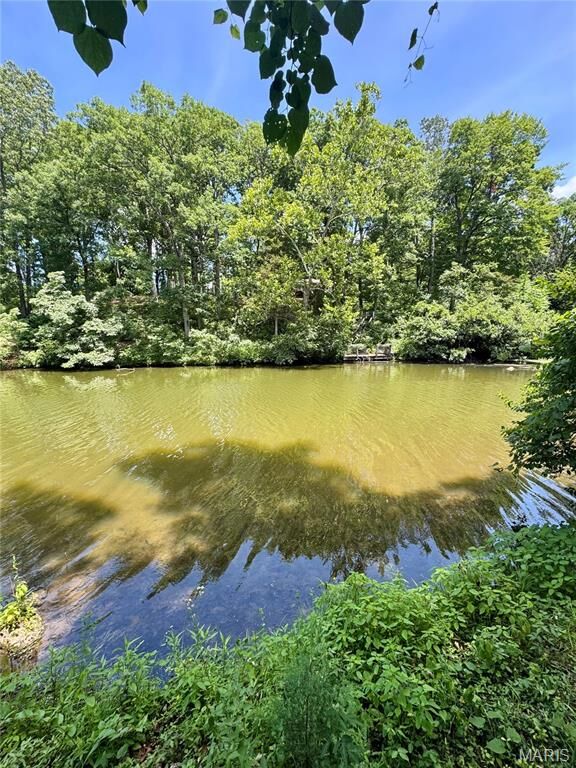 Property Photo:  13332 E Sunrise Lake Drive  MO 63020 