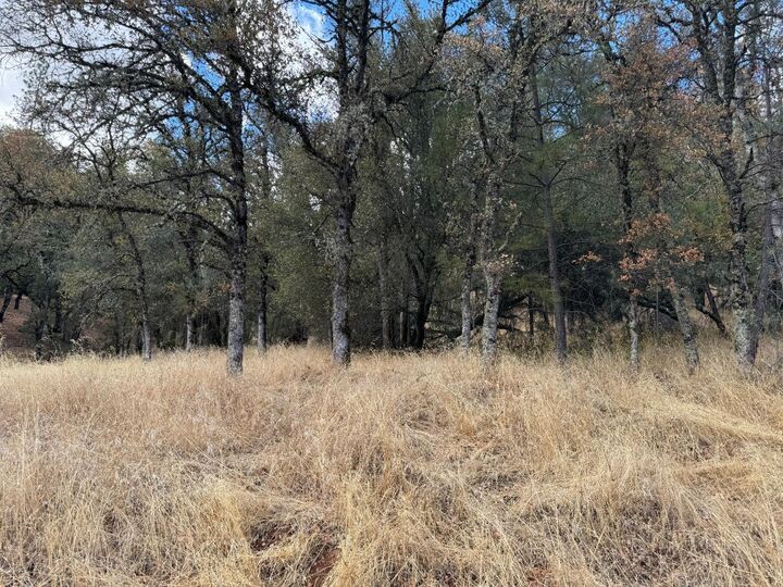 Property Photo:  17022 Brewer Road  CA 95949 