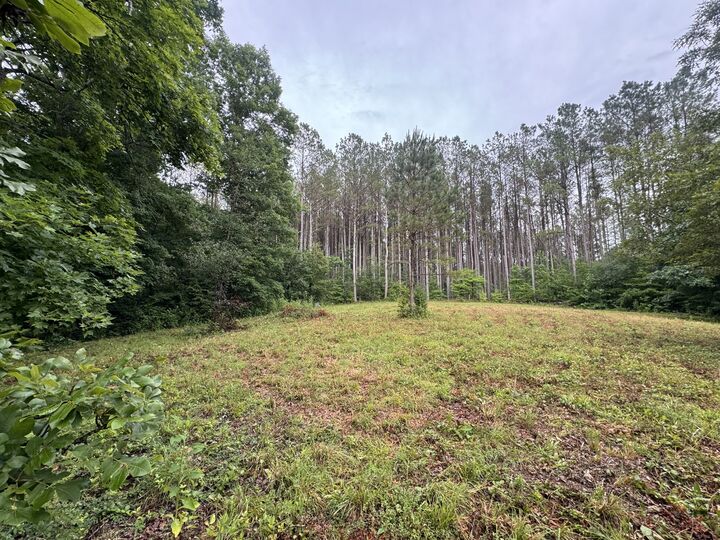 Property Photo:  0 Johnson Hollow Rd  TN 37175 