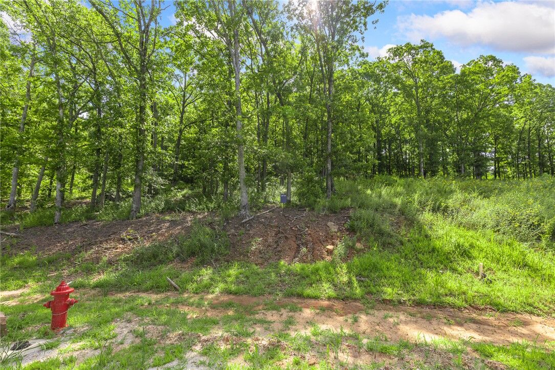 Property Photo:  Lot 64 Restore Ridge  AR 72601 