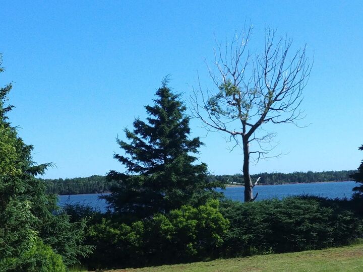 Property Photo: Lot 7 Birch Lane PE C0A 1L0