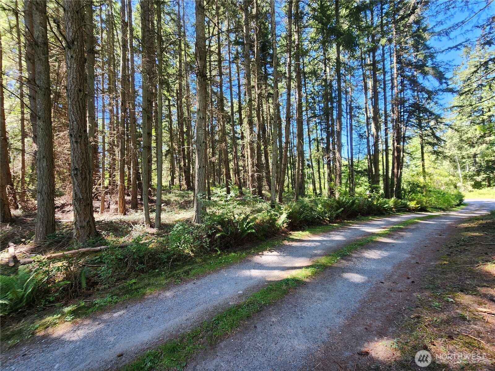 Property Photo:  1664  Lancaster Rd  WA 98249 