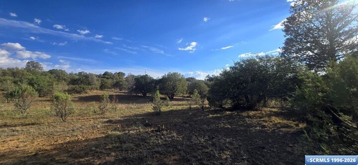 Property Photo: 4533 Arrowhead Road NM 88061-0000
