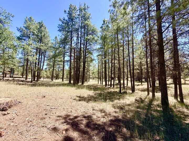 Property Photo:  2124 Antelope Way  AZ 86024 