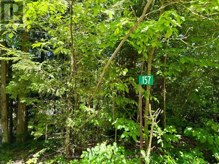 Property Photo:  157 Anderson Drive  ON N0G 1S0 