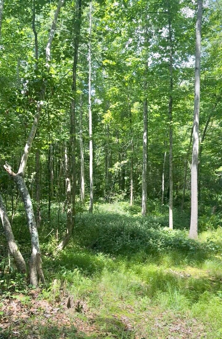 Property Photo:  0 Gardenia Road # 00  SC 29817 
