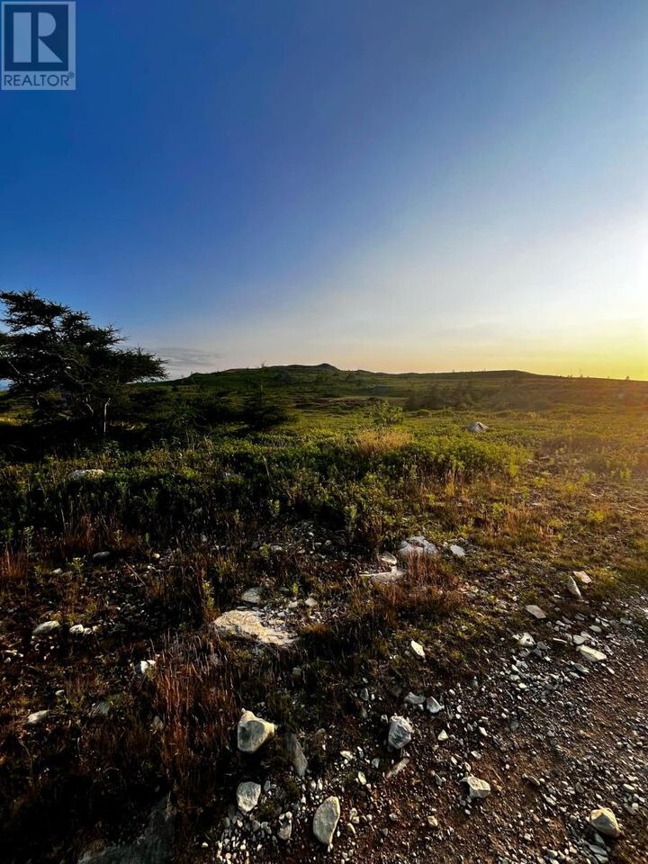 Property Photo:  36 Reid  NL A0A 4E0 