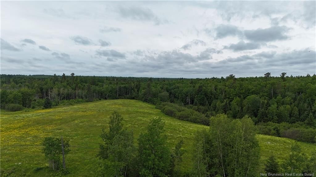 Property Photo:  Lot 2 Route 134  NB E4X 1H5 