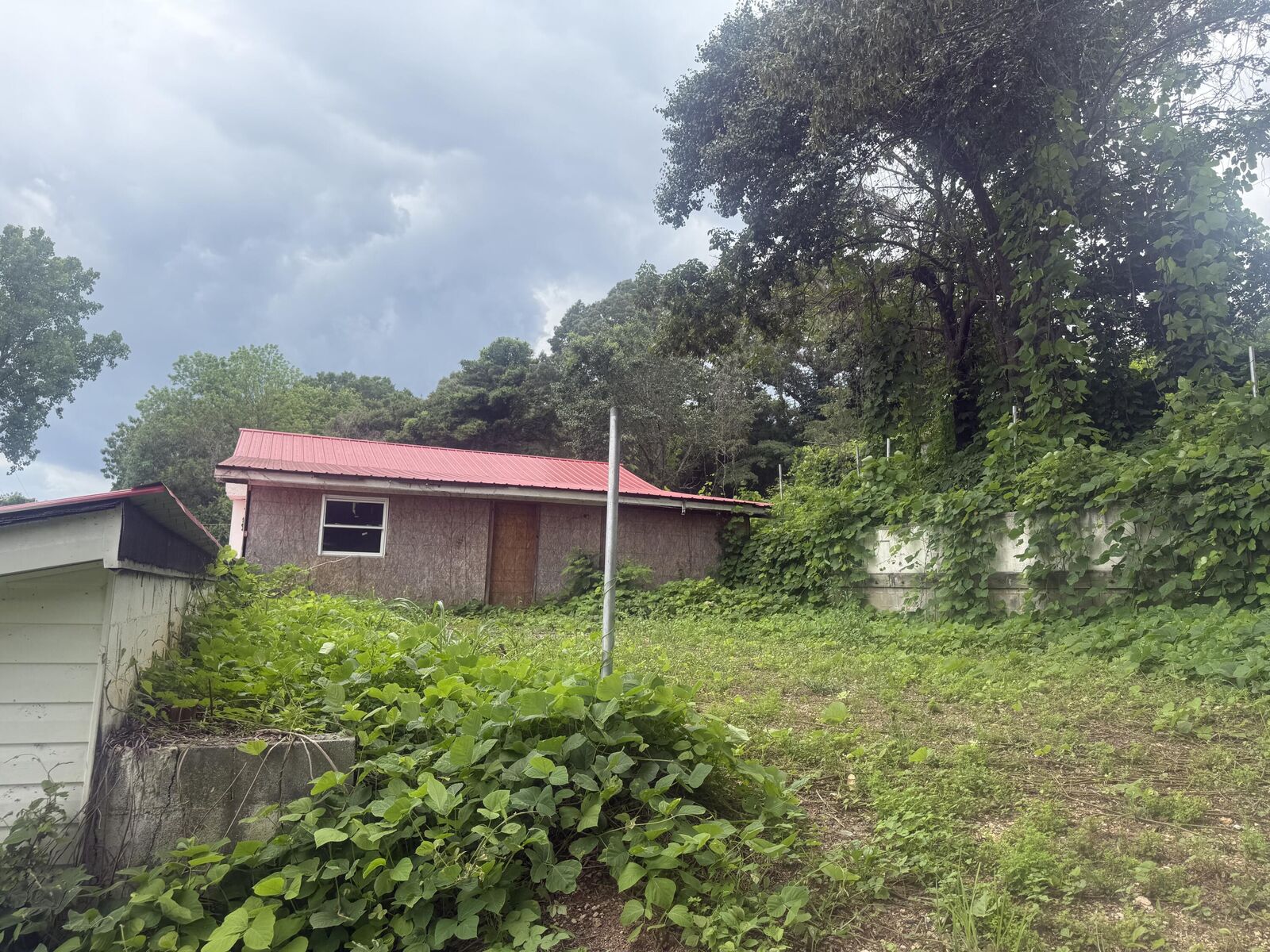 Property Photo:  1100 Chisolm Avenue  AL 35740 