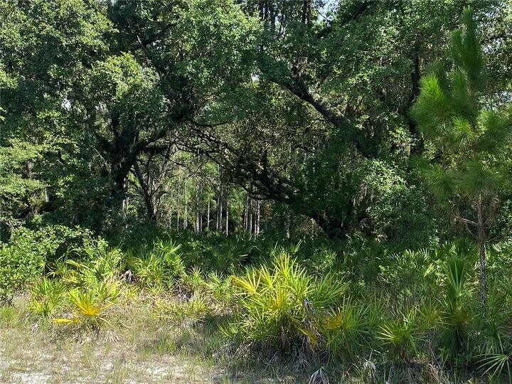 Property Photo:  0 Oleander Drive  FL 33855 