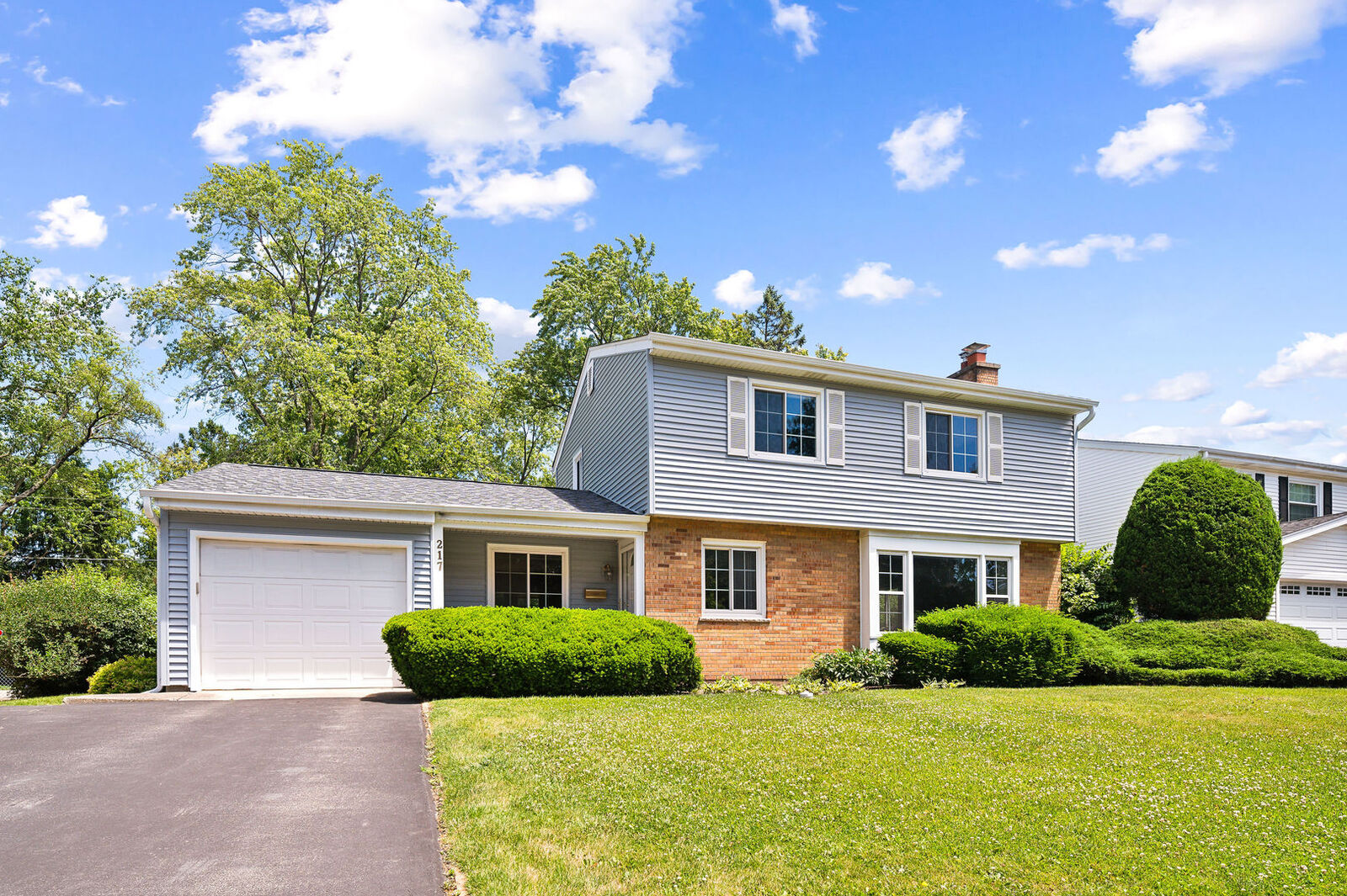 Property Photo: 217 Willow Avenue IL 60015