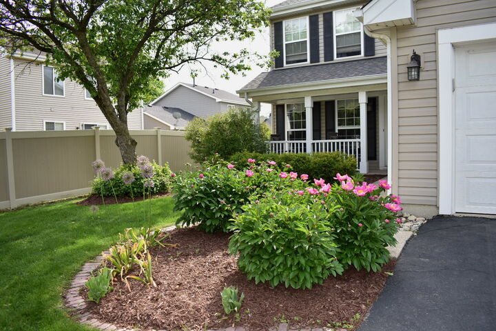 Property Photo:  667 Harvest Drive  IL 60490 