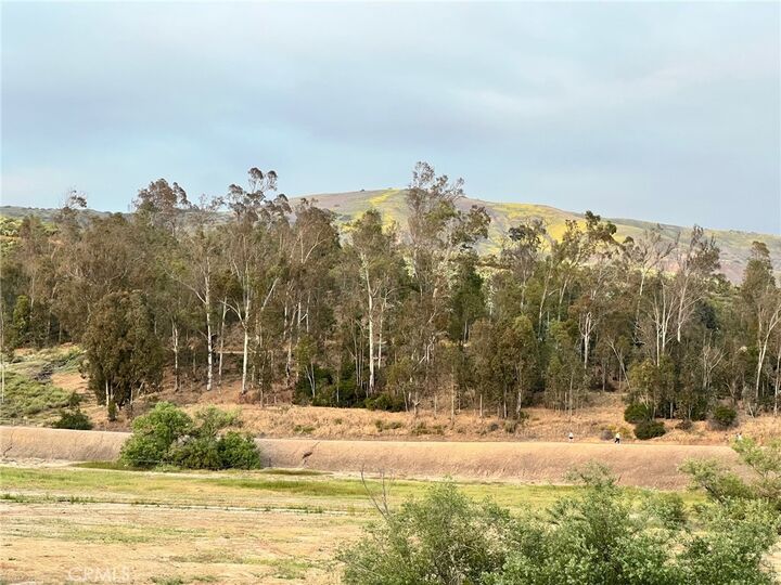 Property Photo:  2345 Tryall  CA 92782 