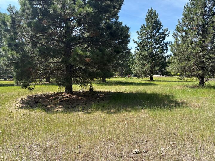 Property Photo: Nhn Tumbleweed Trail MT 59912