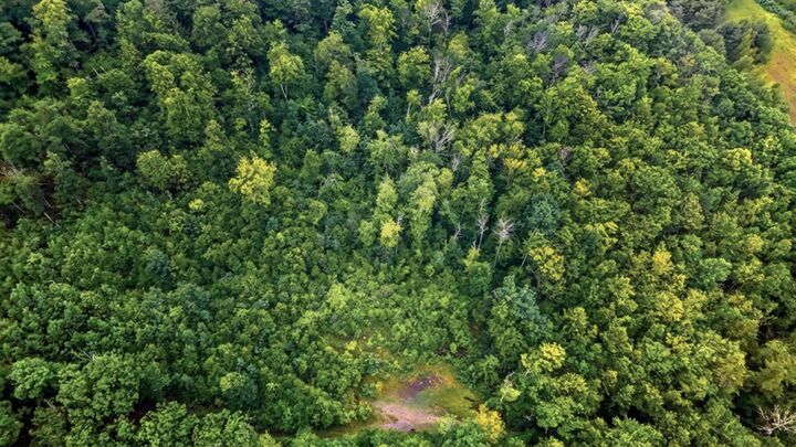 Property Photo:  00 Hurricane Road  NH 03467 