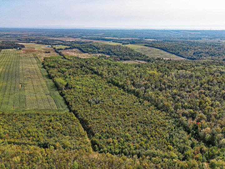 Property Photo:  Acreage Wood Islands Road  PE C0A 1B0 