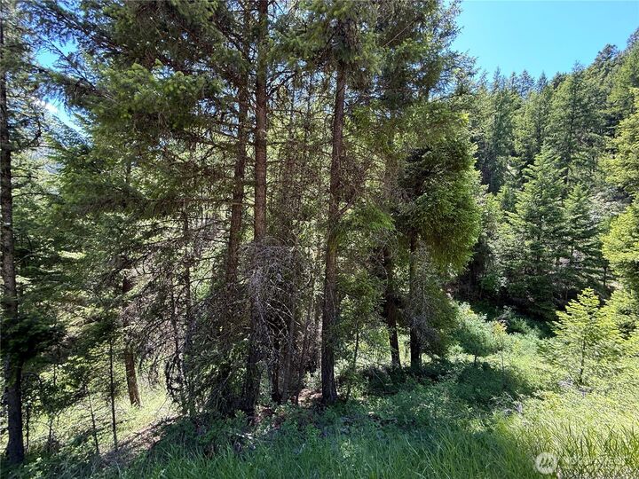Property Photo:  0 Tbd  Toroda Creek Road  WA 98859 
