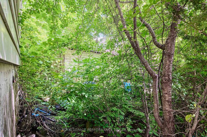 Property Photo:  6 Ossington Avenue  ON K1S 3B4 