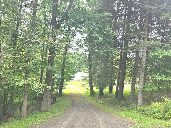 Property Photo:  171 Haskins Road  NY 14838 