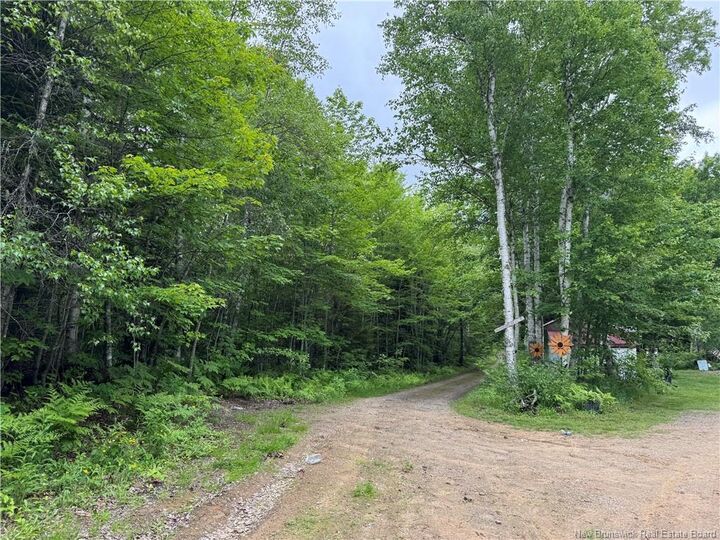 Property Photo:  Lot Mahoney Road  NB E4L 1P1 