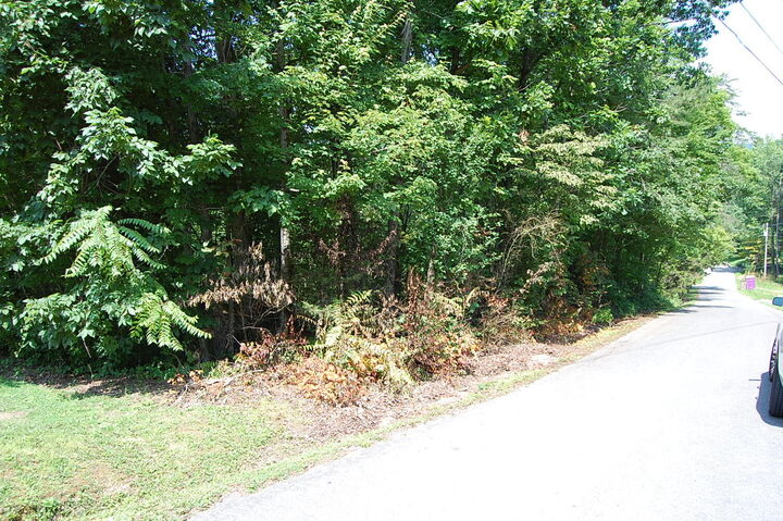 Property Photo:  65 Dogwood Lane  TN 37327 