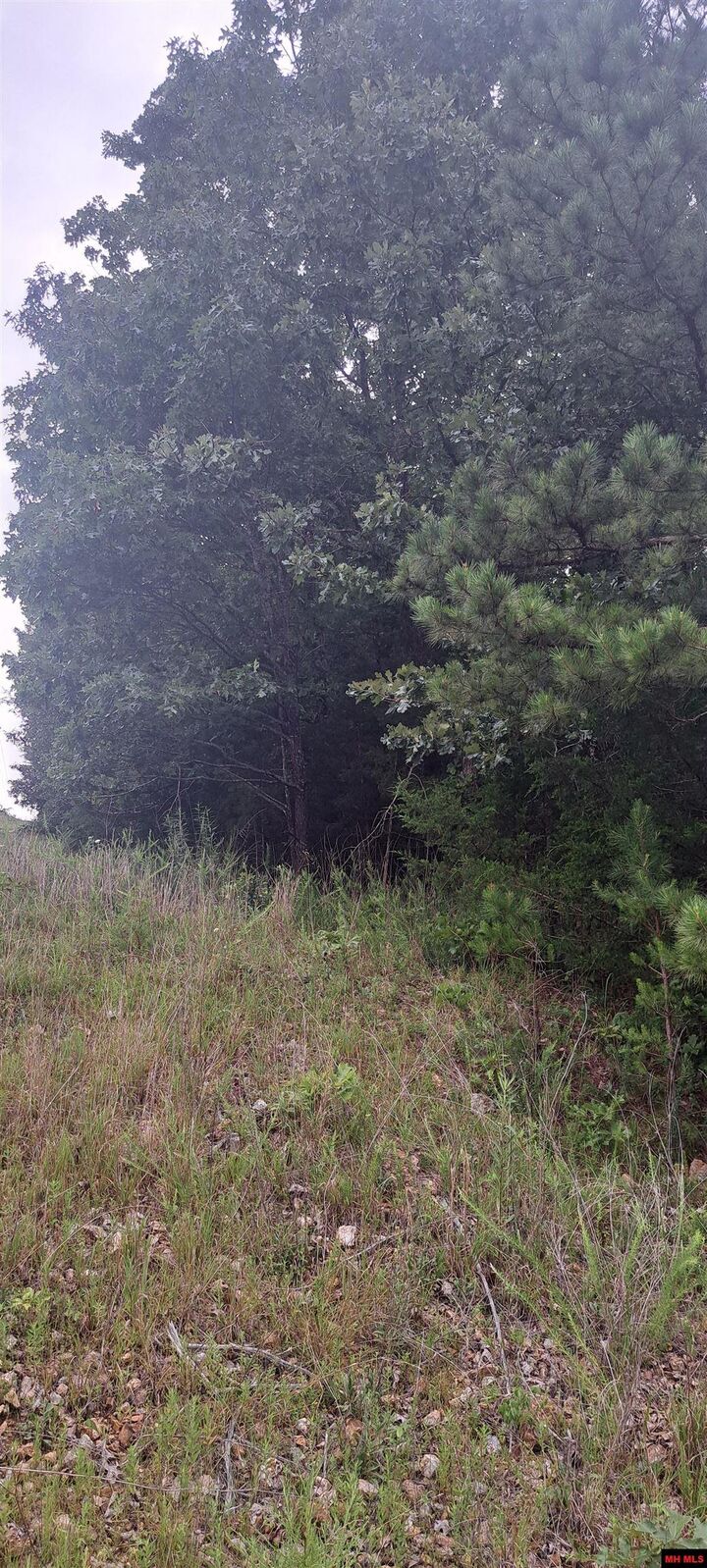 Property Photo:  Lot 4 Basswood Drive  AR 72653 