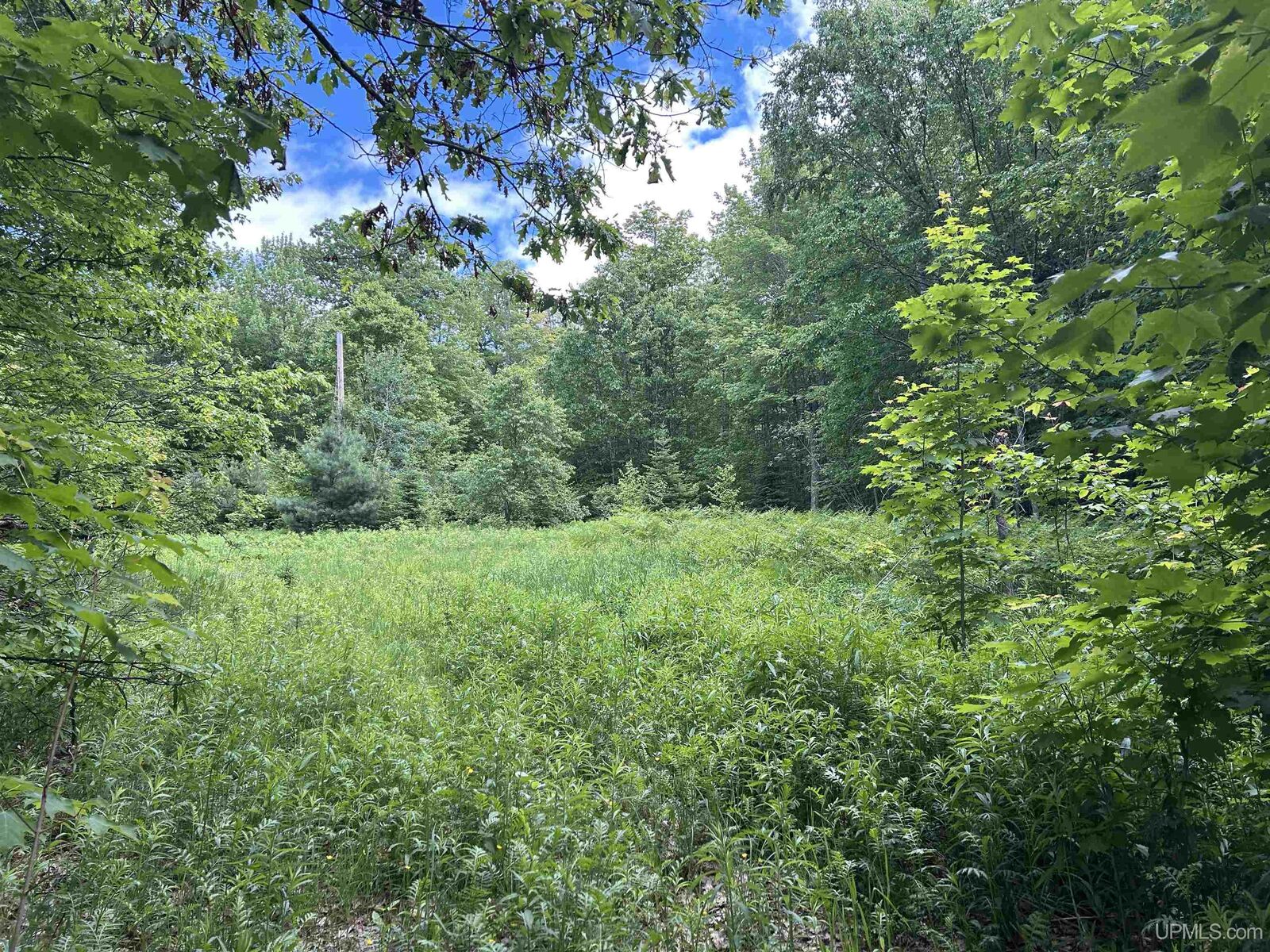Property Photo: Tbd N Carlshend Road MI 49885-0000