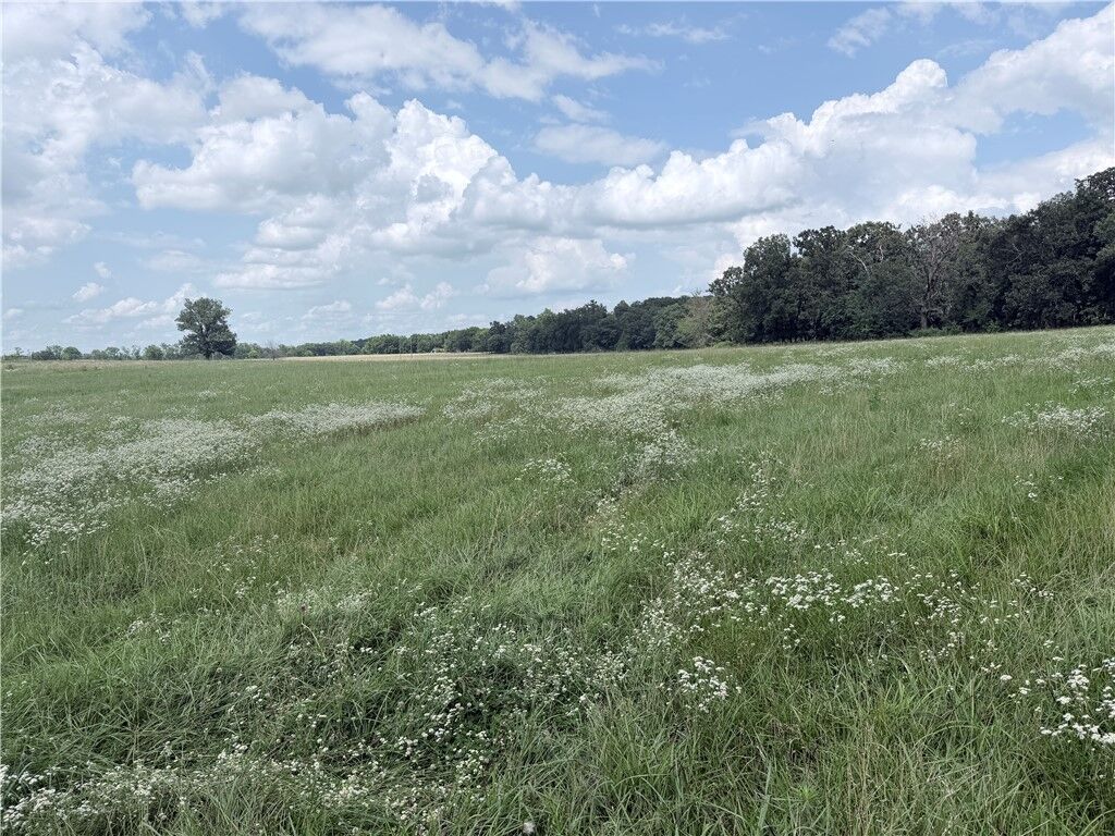 Property Photo:  State Line Road  AR 72747 