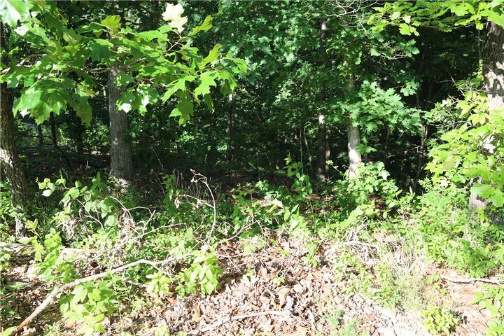 Property Photo:  Lot 21 Kirkcudbright Lane  AR 72715 