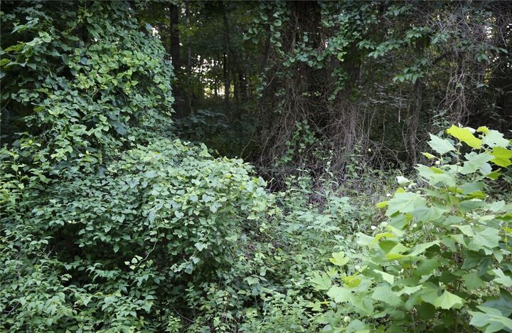 Property Photo:  Lot 12 Thaxted Drive  AR 72715 