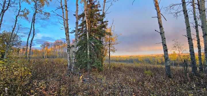 Property Photo:  SE-27-79-9-W6 92 Range Road  AB T0H 0G0 