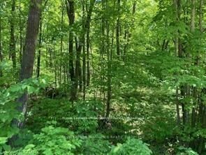 Property Photo:  Lot 31 River Heights Road  ON K0K 2M0 
