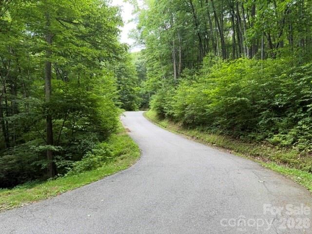 Property Photo:  Lot 38 Yanasa Trail 38  NC 28751 