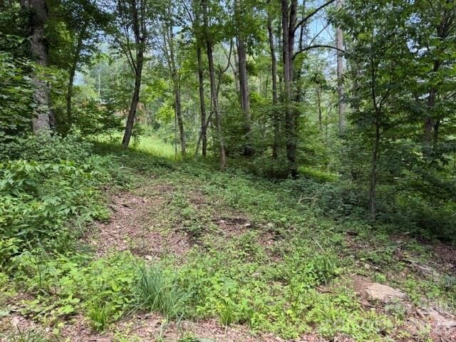 Property Photo: Lot 16 Iga Trail 16 NC 28751