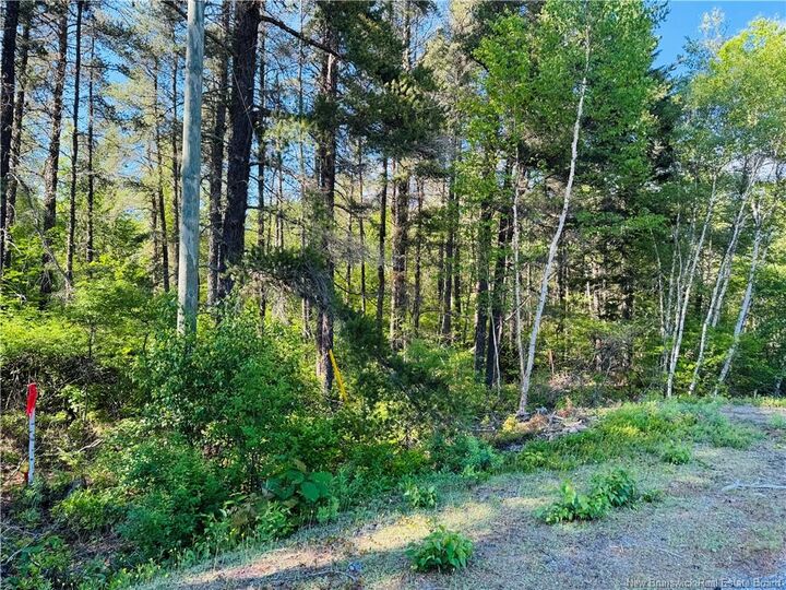 Property Photo:  Lot 2026-2 Crystal Drive  NB E1N 3P7 