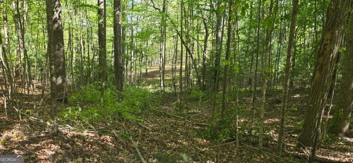 Property Photo:  Lot 3-4 Scouts Overlook Lane  GA 30560 