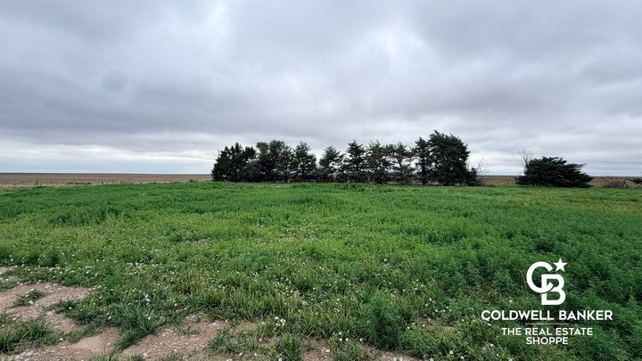 Property Photo:  1120 N Sherman Road  KS 67846 