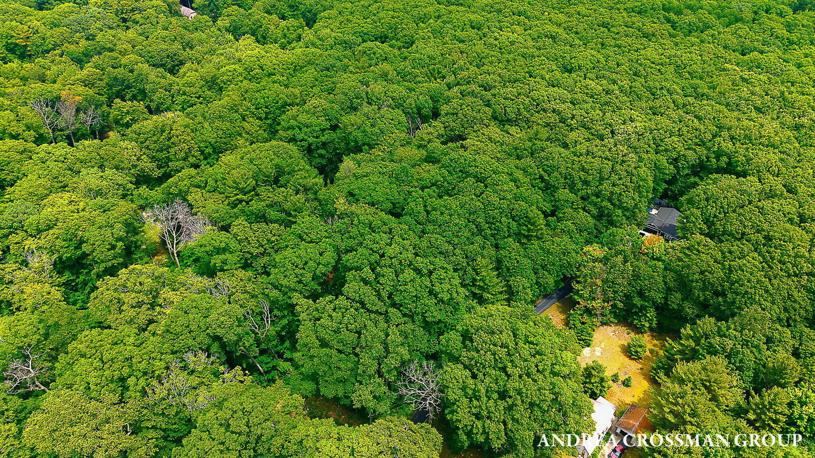Property Photo:  0 Scenic Drive  MI 49445 