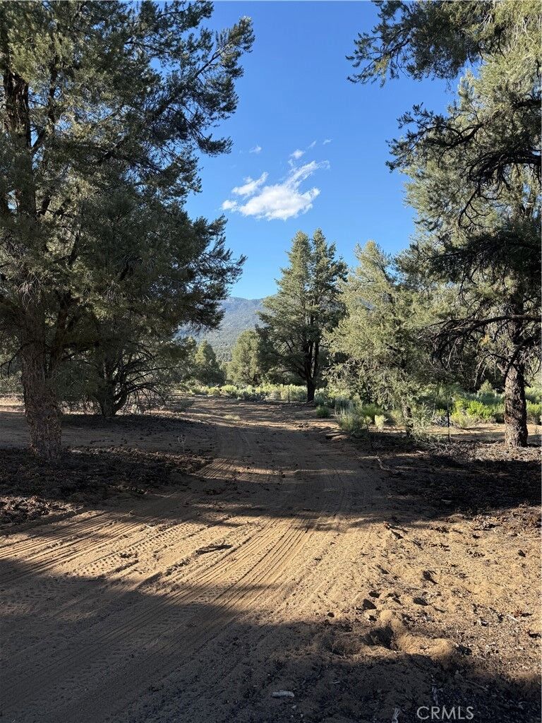 Property Photo:  0 310-240-020 Grumpy Bear Trail  CA 93527 