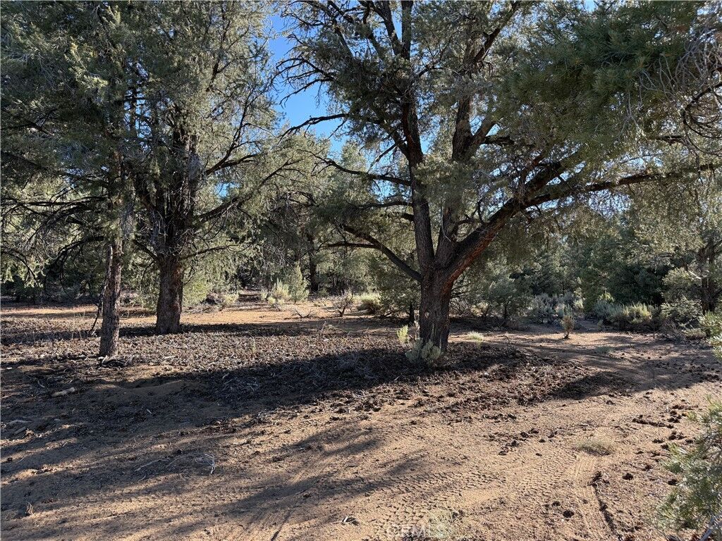 Property Photo:  0 310-240-020 Grumpy Bear Trail  CA 93527 