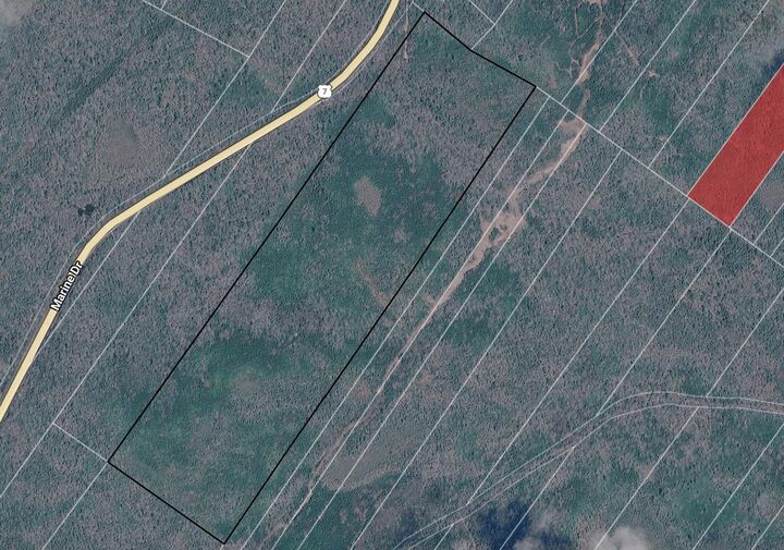 Property Photo:  0 Highway 7  NS B0J 2L0 