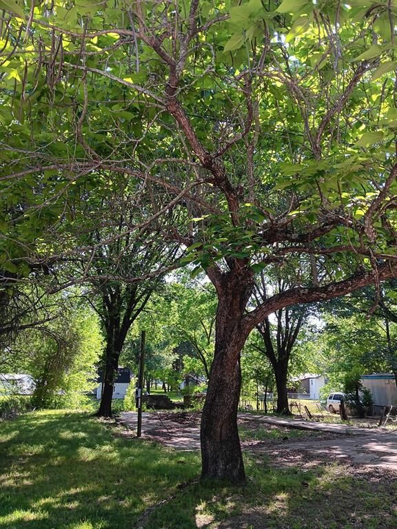 Property Photo:  210 Spring Valley Street  TX 75156 