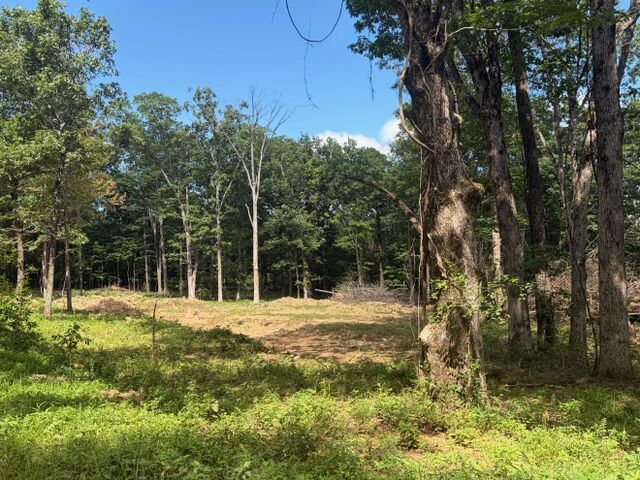 Property Photo:  Tbd Freedom Road  AR 72959 