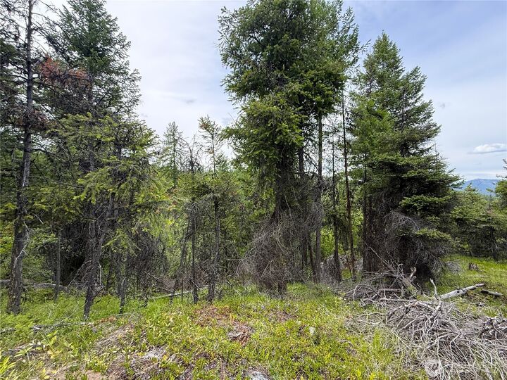 Property Photo:  0 Tbd  Mule Deer Road  WA 99166 